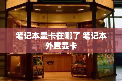笔记本显卡在哪了 笔记本外置显卡-第1张图片-星选测评
