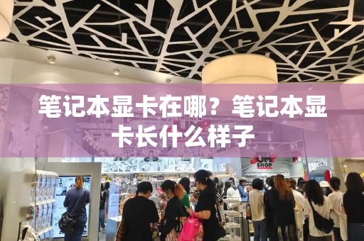 笔记本显卡在哪？笔记本显卡长什么样子-第1张图片-星选测评