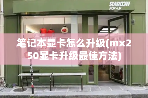 笔记本显卡怎么升级(mx250显卡升级最佳方法)-第1张图片-星选测评