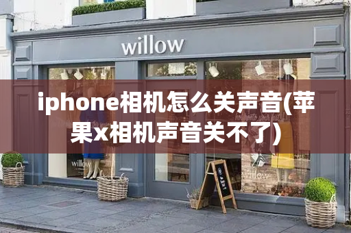 iphone相机怎么关声音(苹果x相机声音关不了)-第1张图片-星选测评