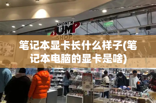 笔记本显卡长什么样子(笔记本电脑的显卡是啥)-第1张图片-星选测评