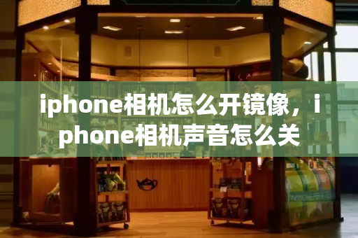 iphone相机怎么开镜像，iphone相机声音怎么关