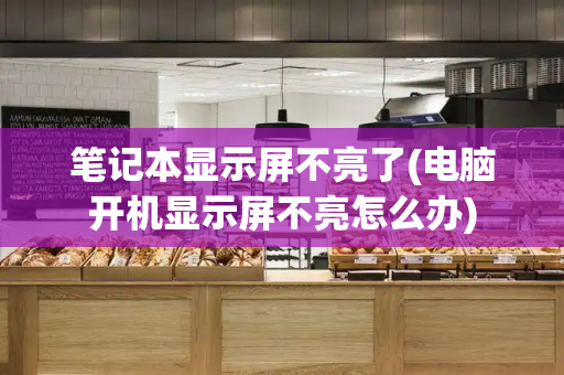 笔记本显示屏不亮了(电脑开机显示屏不亮怎么办)