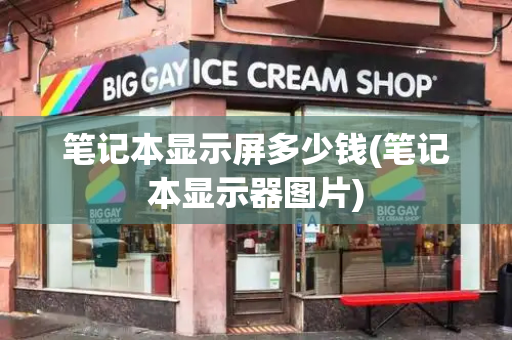 笔记本显示屏多少钱(笔记本显示器图片)