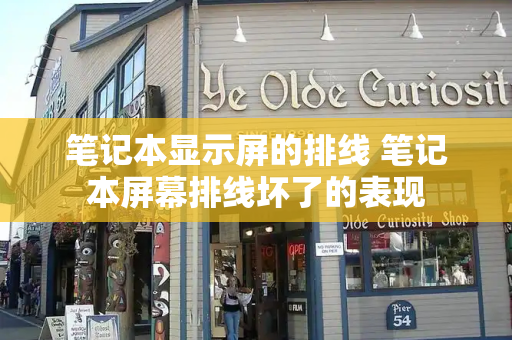 笔记本显示屏的排线 笔记本屏幕排线坏了的表现-第1张图片-星选测评