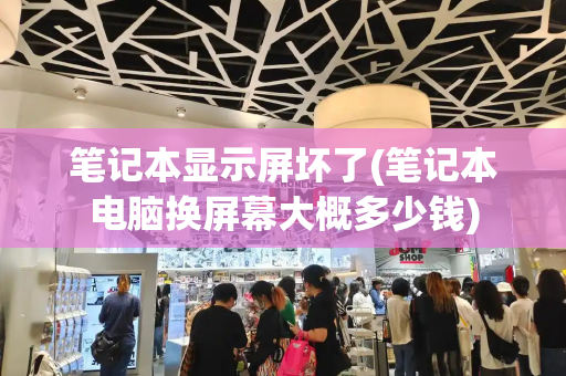 笔记本显示屏坏了(笔记本电脑换屏幕大概多少钱)-第1张图片-星选测评