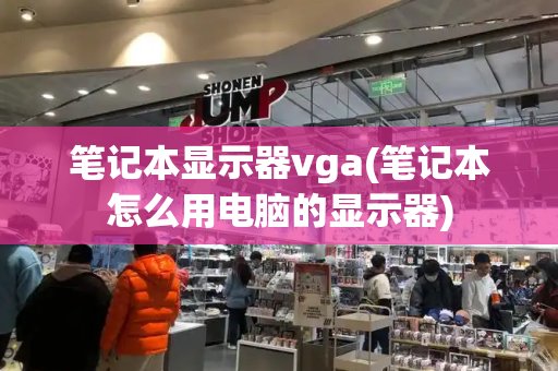 笔记本显示器vga(笔记本怎么用电脑的显示器)-第1张图片-星选测评