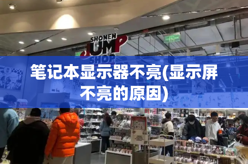 笔记本显示器不亮(显示屏不亮的原因)