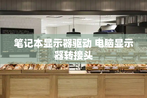 笔记本显示器驱动 电脑显示器转接头