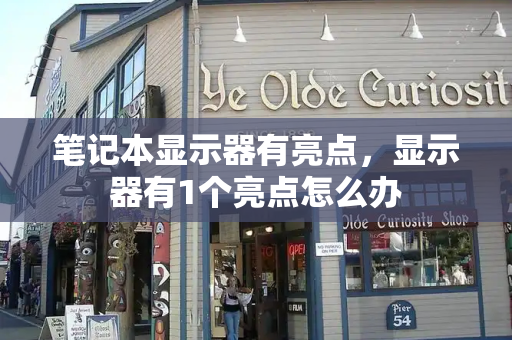 笔记本显示器有亮点，显示器有1个亮点怎么办