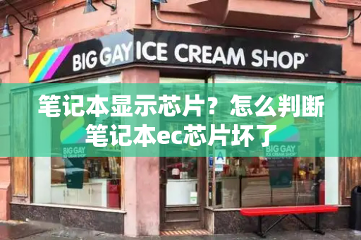 笔记本显示芯片？怎么判断笔记本ec芯片坏了-第1张图片-星选测评