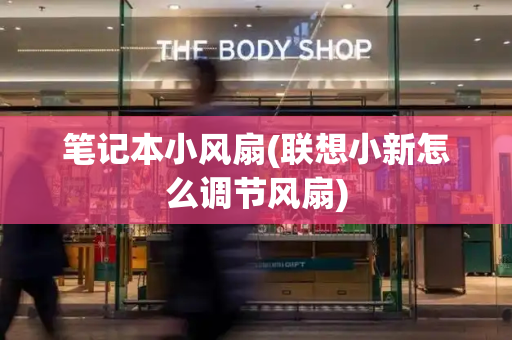 笔记本小风扇(联想小新怎么调节风扇)-第1张图片-星选测评