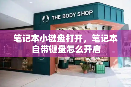 笔记本小键盘打开，笔记本自带键盘怎么开启