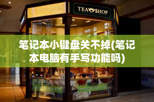 笔记本小键盘关不掉(笔记本电脑有手写功能吗)