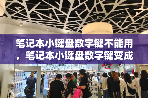 笔记本小键盘数字键不能用，笔记本小键盘数字键变成了上下左右