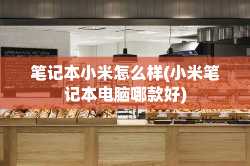 笔记本小米怎么样(小米笔记本电脑哪款好)-第1张图片-星选测评