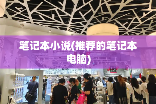 笔记本小说(推荐的笔记本电脑)