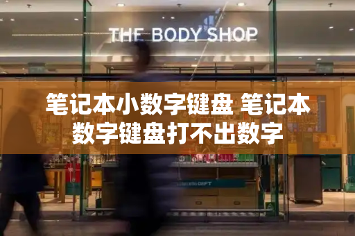 笔记本小数字键盘 笔记本数字键盘打不出数字