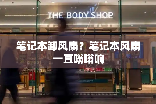 笔记本卸风扇？笔记本风扇一直嗡嗡响-第1张图片-星选测评