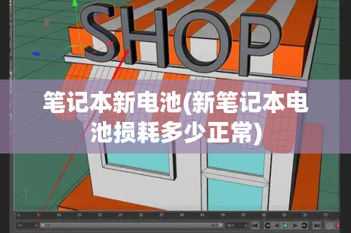 笔记本新电池(新笔记本电池损耗多少正常)