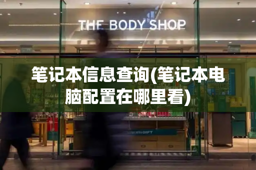 笔记本信息查询(笔记本电脑配置在哪里看)-第1张图片-星选测评
