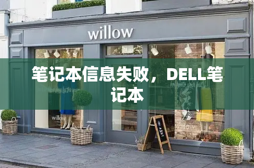 笔记本信息失败，DELL笔记本-第1张图片-星选测评