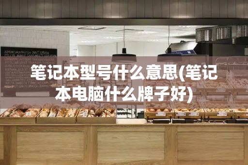 笔记本型号什么意思(笔记本电脑什么牌子好)-第1张图片-星选测评
