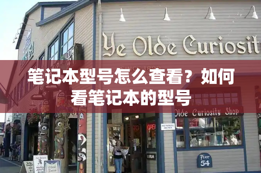 笔记本型号怎么查看？如何看笔记本的型号-第1张图片-星选测评