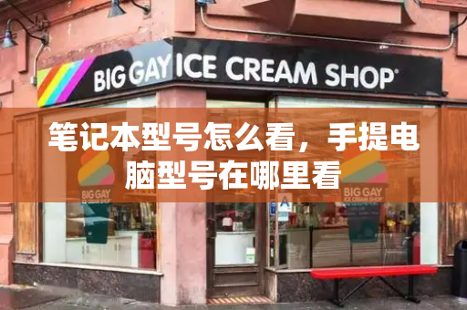 笔记本型号怎么看，手提电脑型号在哪里看-第1张图片-星选测评
