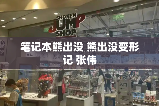 笔记本熊出没 熊出没变形记 张伟