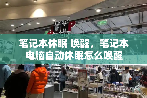 笔记本休眠 唤醒，笔记本电脑自动休眠怎么唤醒-第1张图片-星选测评