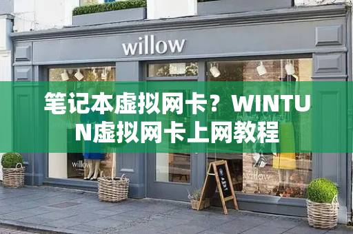 笔记本虚拟网卡？WINTUN虚拟网卡上网教程-第1张图片-星选测评