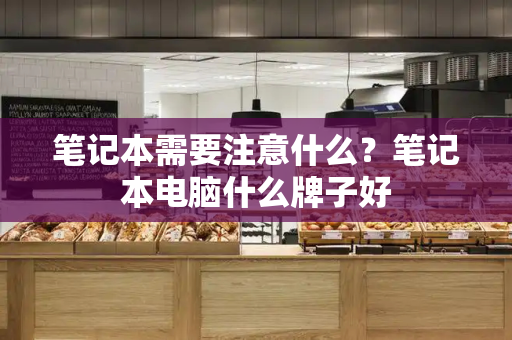 笔记本需要注意什么？笔记本电脑什么牌子好-第1张图片-星选测评
