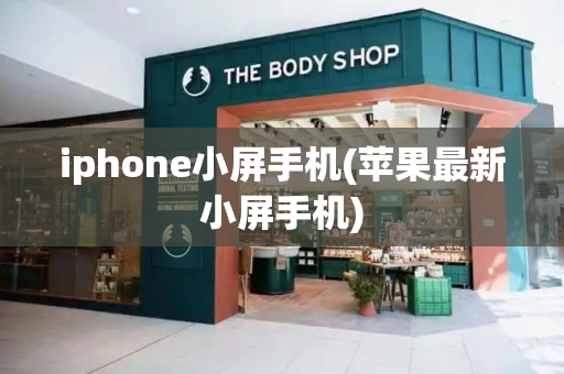 iphone小屏手机(苹果最新小屏手机)-第1张图片-星选测评