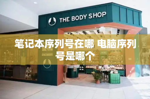 笔记本序列号在哪 电脑序列号是哪个