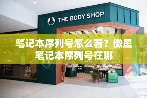 笔记本序列号怎么看？微星笔记本序列号在哪