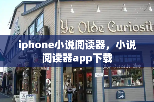 iphone小说阅读器，小说阅读器app下载