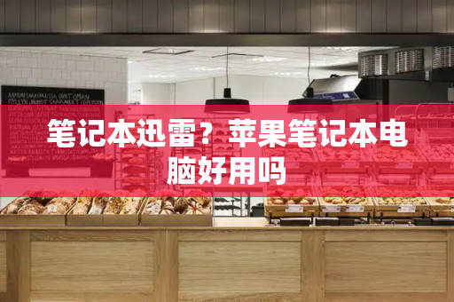 笔记本迅雷？苹果笔记本电脑好用吗