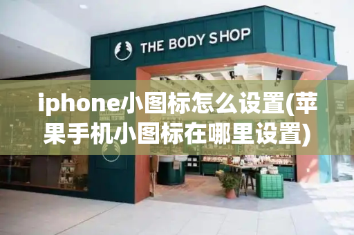 iphone小图标怎么设置(苹果手机小图标在哪里设置)-第1张图片-星选测评