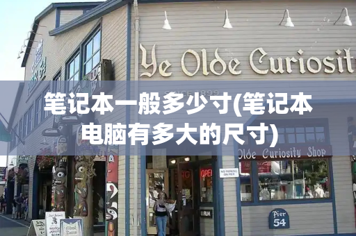笔记本一般多少寸(笔记本电脑有多大的尺寸)