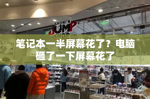 笔记本一半屏幕花了？电脑砸了一下屏幕花了-第1张图片-星选测评