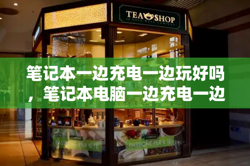 笔记本一边充电一边玩好吗，笔记本电脑一边充电一边玩可以吗-第1张图片-星选测评