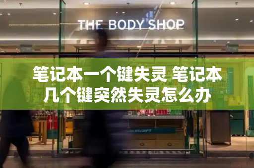 笔记本一个键失灵 笔记本几个键突然失灵怎么办-第1张图片-星选测评