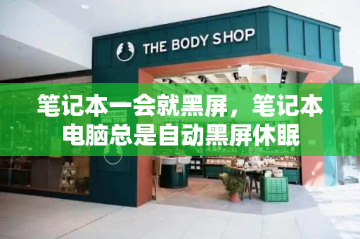 笔记本一会就黑屏，笔记本电脑总是自动黑屏休眠-第1张图片-星选测评