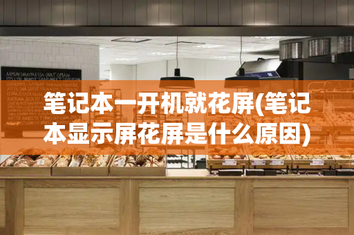 笔记本一开机就花屏(笔记本显示屏花屏是什么原因)-第1张图片-星选测评