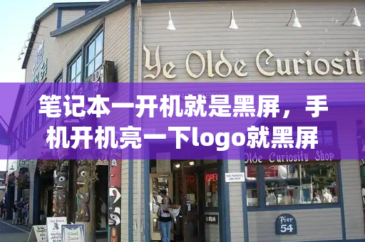 笔记本一开机就是黑屏，手机开机亮一下logo就黑屏