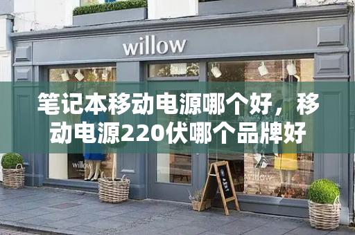 笔记本移动电源哪个好，移动电源220伏哪个品牌好