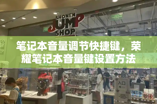 笔记本音量调节快捷键，荣耀笔记本音量键设置方法
