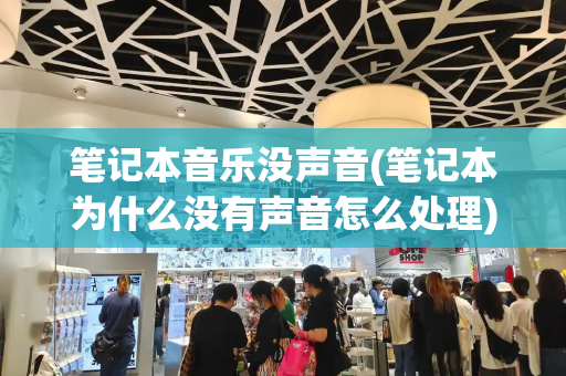 笔记本音乐没声音(笔记本为什么没有声音怎么处理)