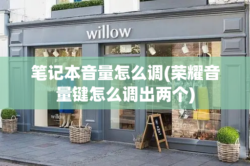 笔记本音量怎么调(荣耀音量键怎么调出两个)